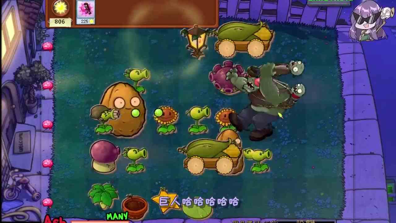 植物大战僵尸：运气随机测试？小妹：我也太非了吧！