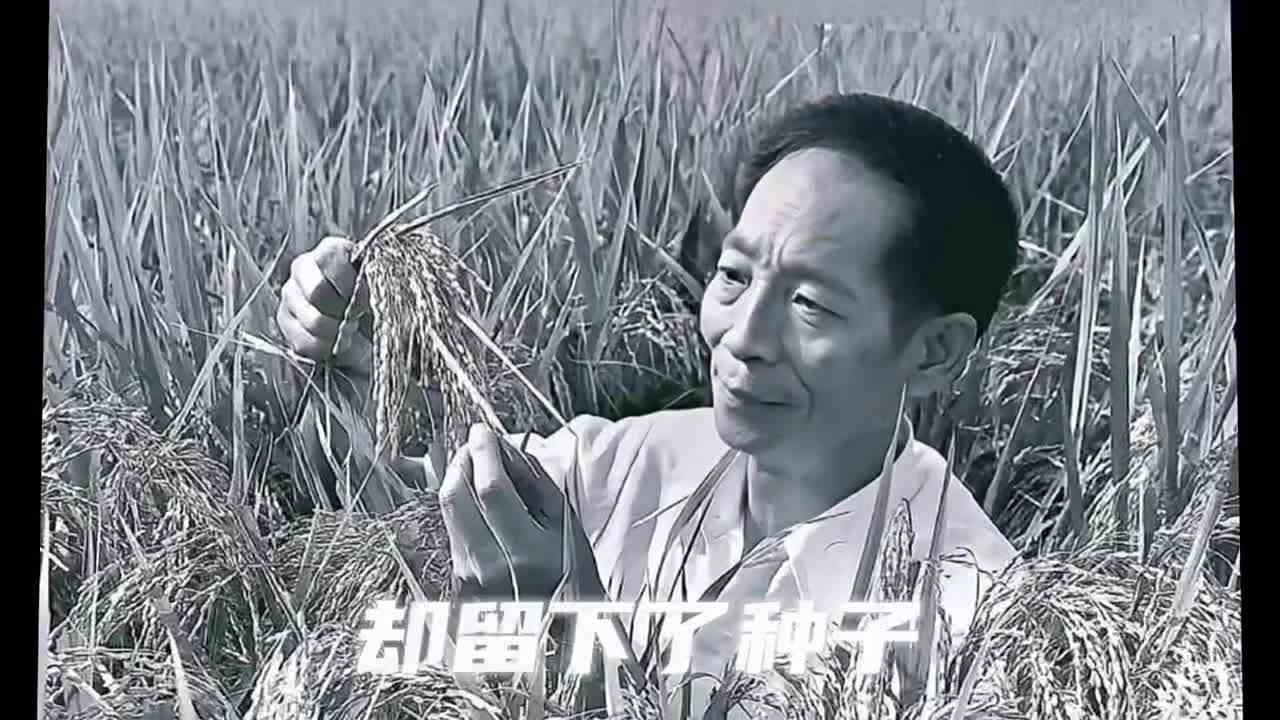 鬼谷子的台词……用心了！#最强对抗组