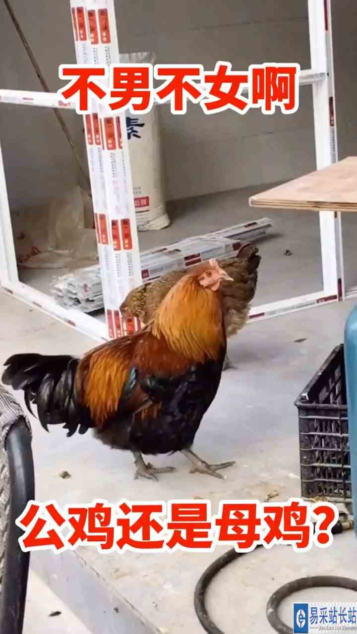 当兴趣成为职业.悲哀啊！
