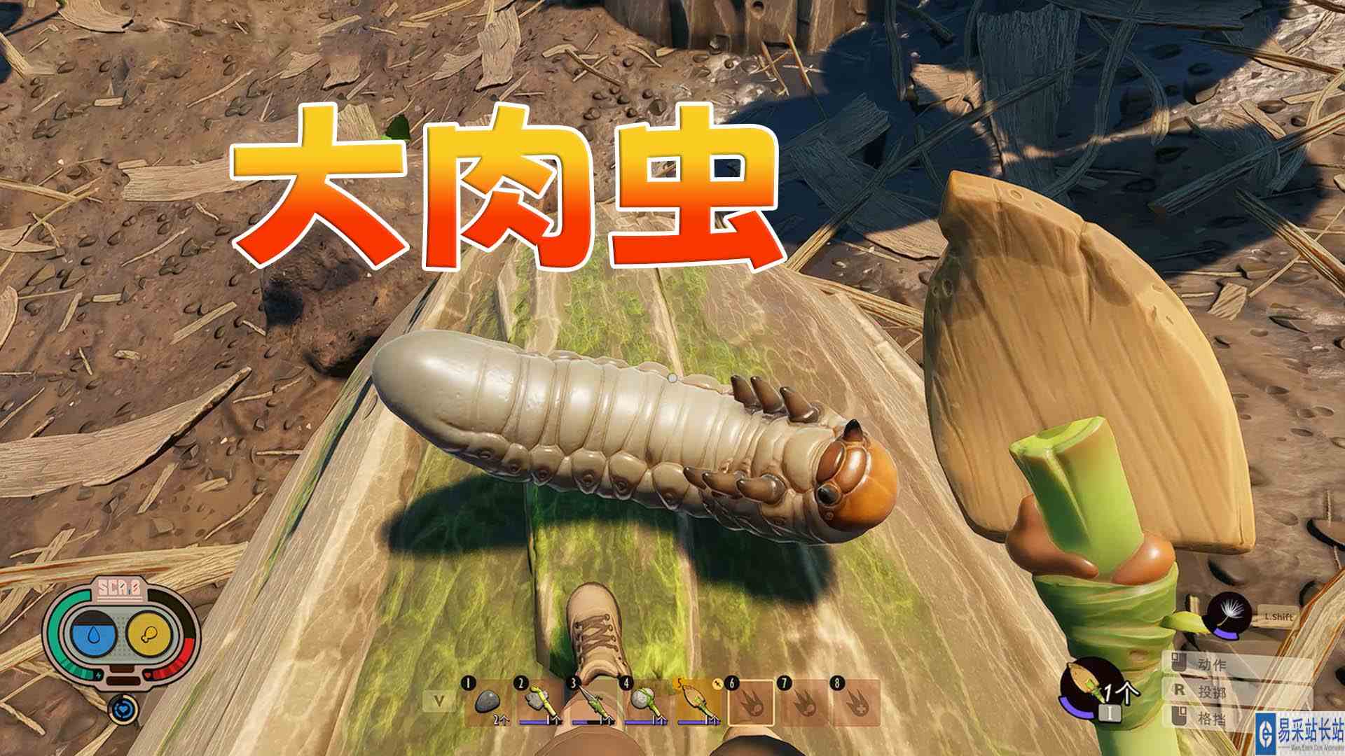 禁闭求生04：好肥大的大肉虫 蛋白质是牛肉的六倍