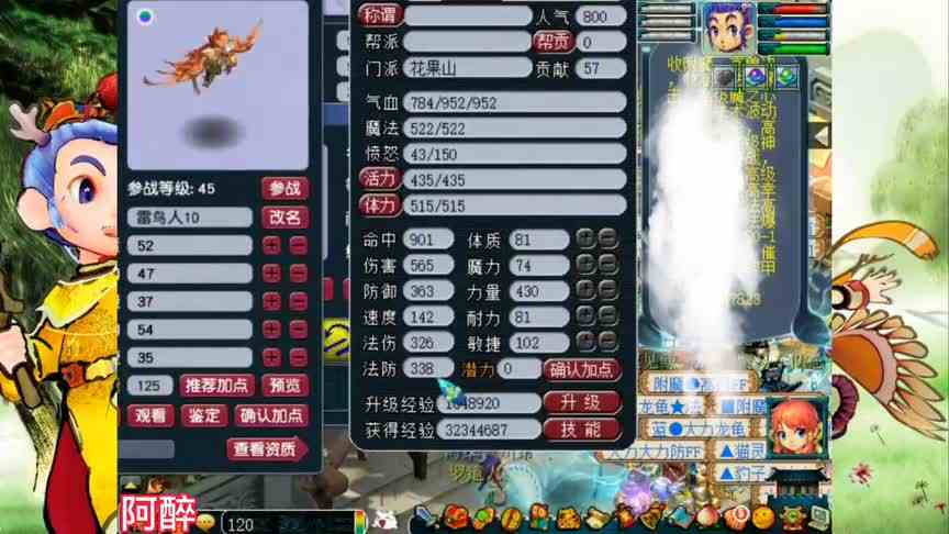 梦幻西游：十技能净台雷鸟人打书，冲刺一下全技能的龟速宝宝