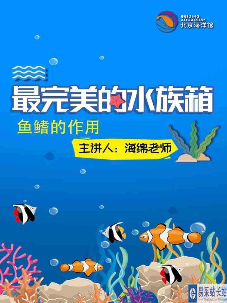 鱼鳍的作用直播回放
