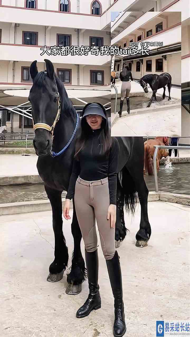 听说飓风要跟我比腿长