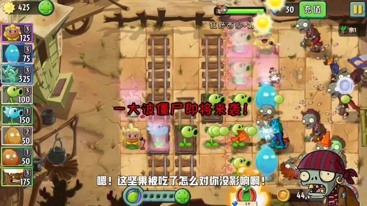 植物大战僵尸：原来全息坚果是这样用的，真是学到了！