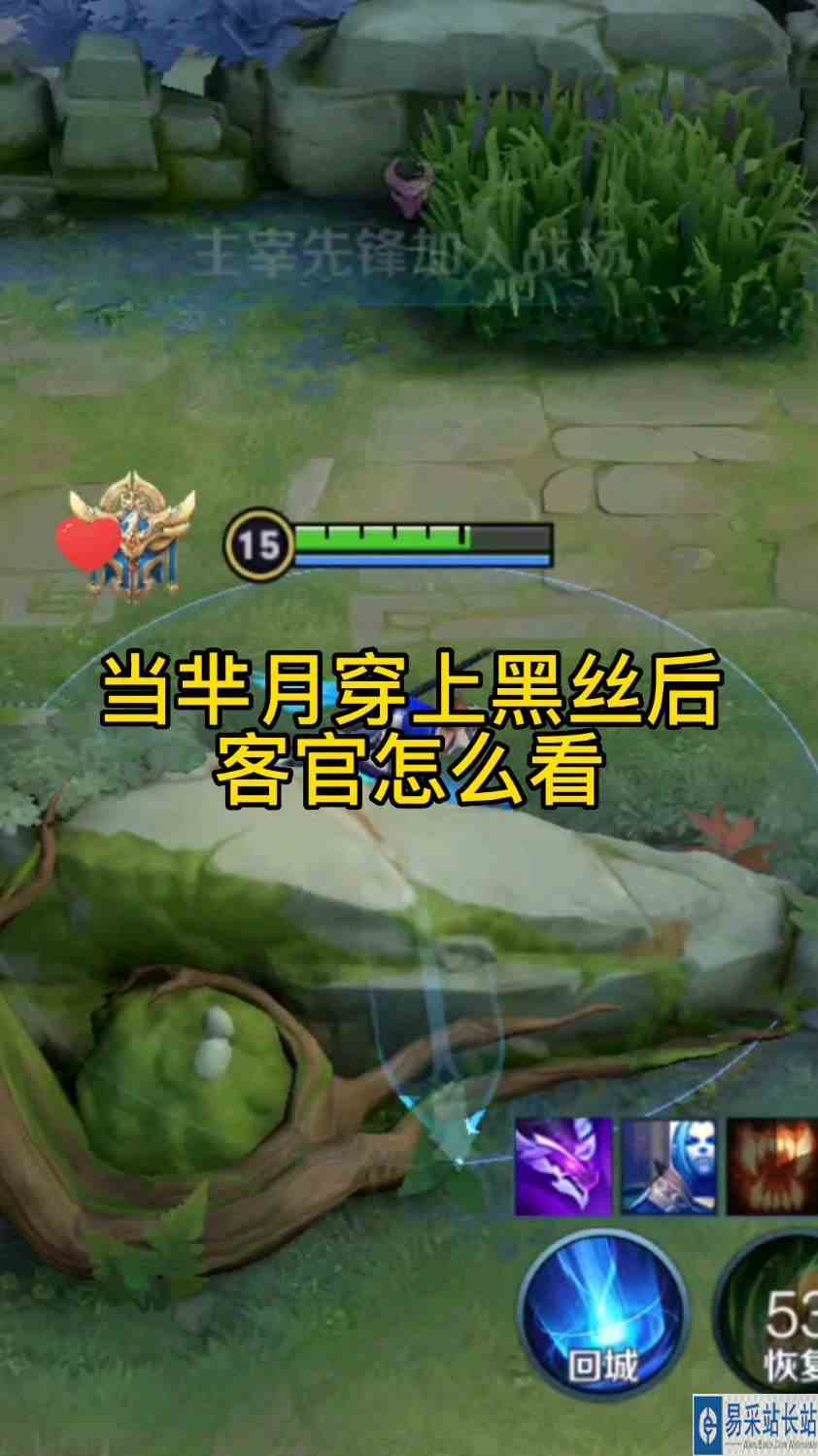 芈月穿上黑丝