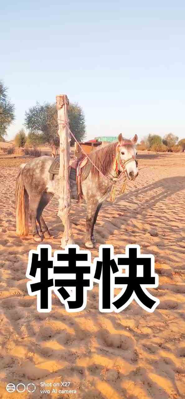 有进步了！