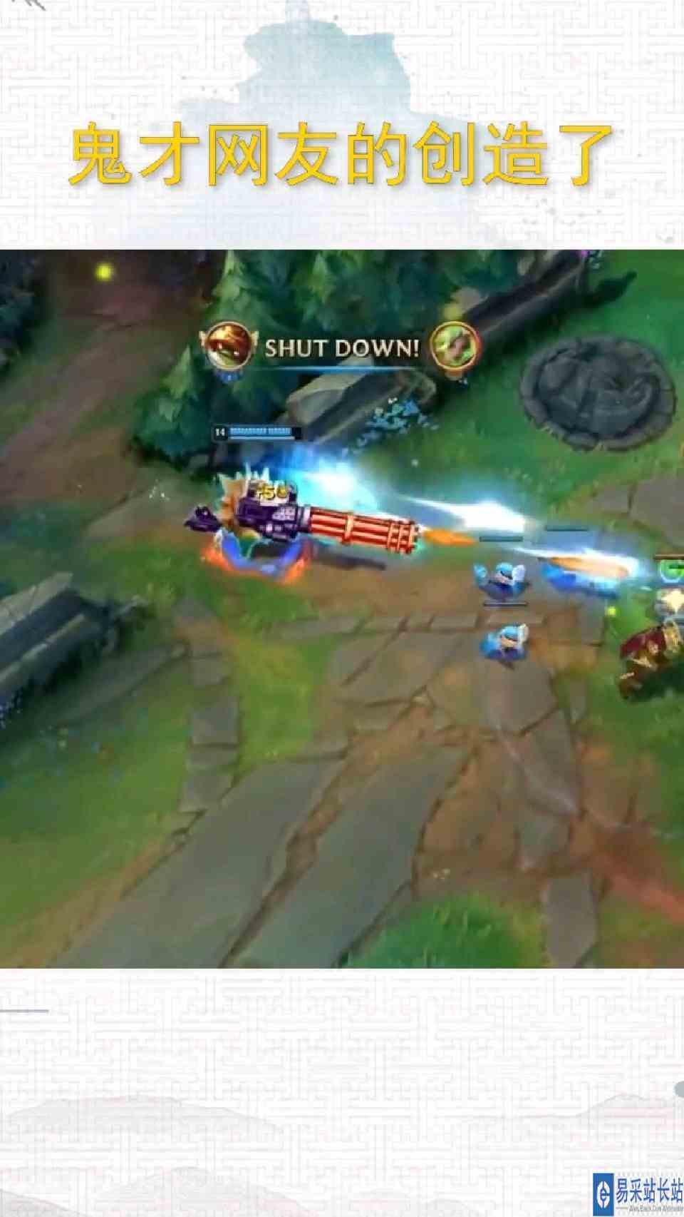 这难道是勇士龙龟？