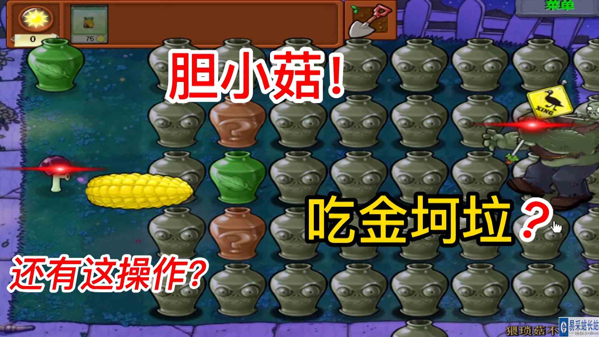 植物大战僵尸：胆小菇吃了金坷垃，僵王博士：能不能别欺负我了？