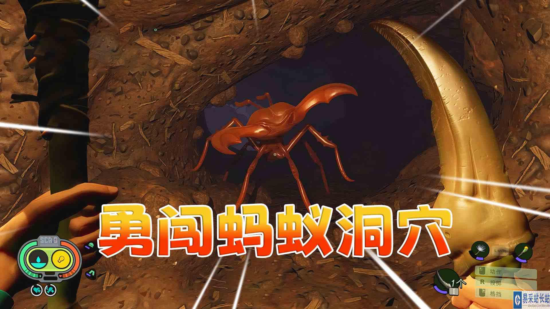 禁闭求生05：勇闯蚂蚁洞 遭到巨齿兵蚁拦路