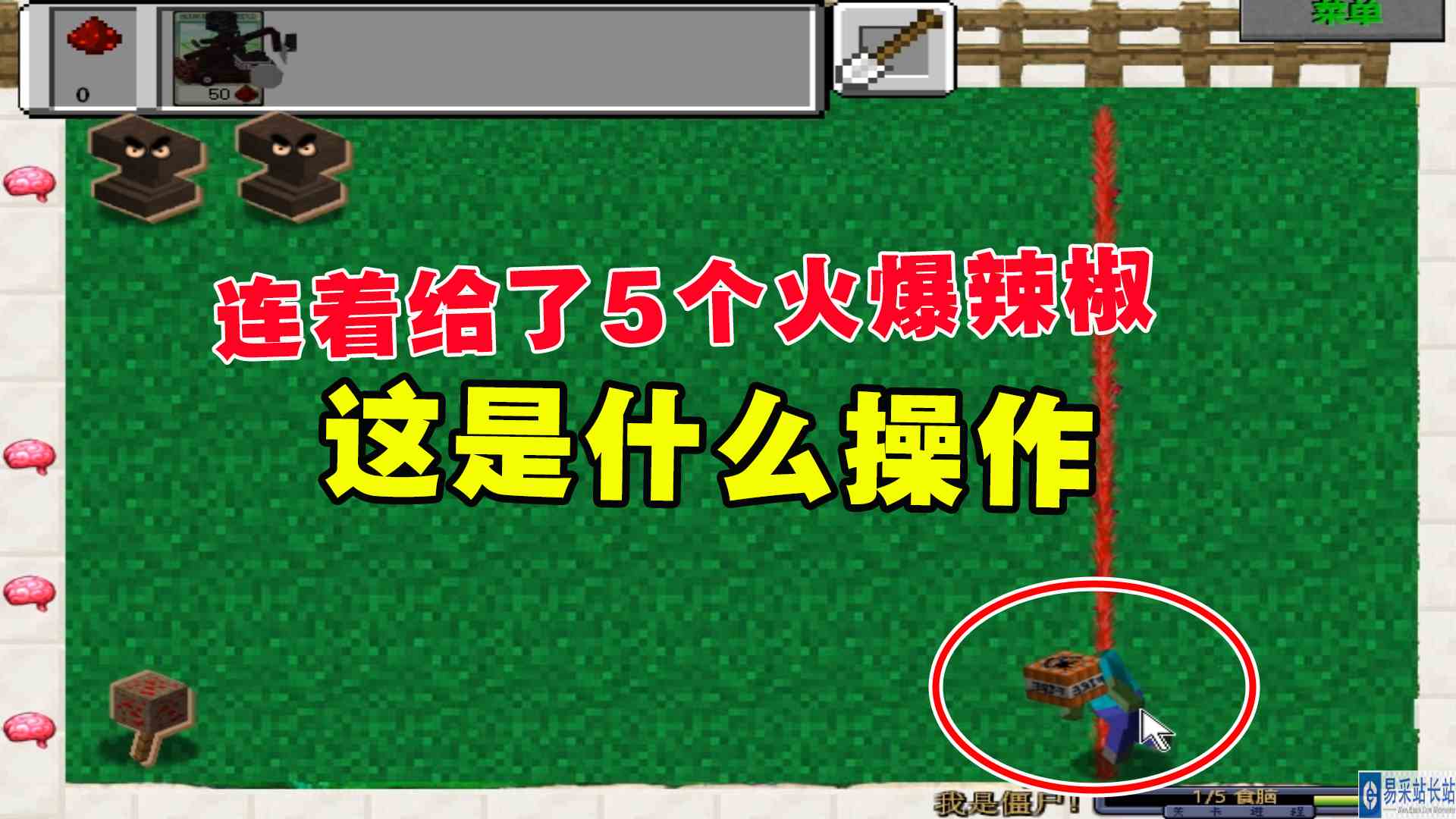 MC植物大战僵尸：随机僵尸！连着给了5个火爆辣椒，这是什么操作#植物大战僵尸#我的世界