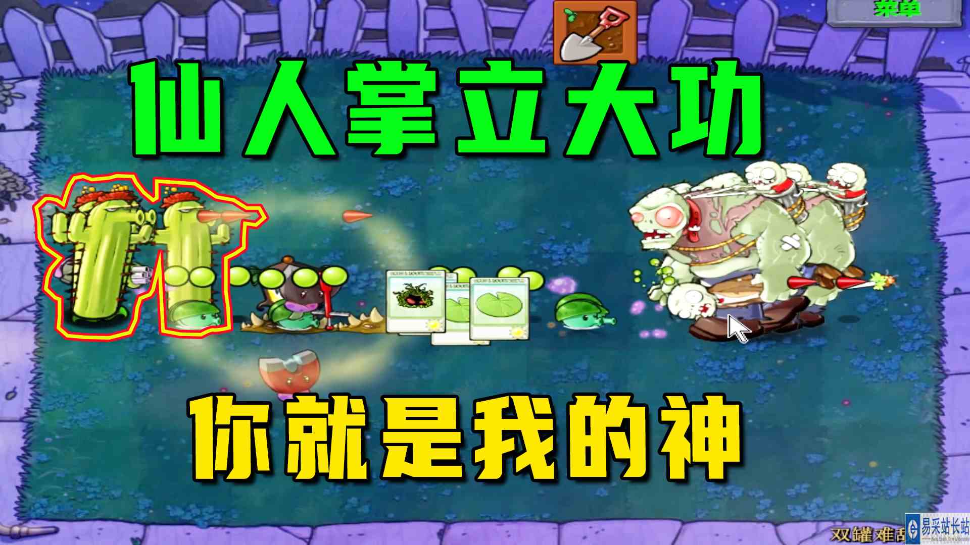 植物大战僵尸：双罐难敌四僵（下），仙人掌立大功，今天你就是神#植物大战僵尸#单机游戏