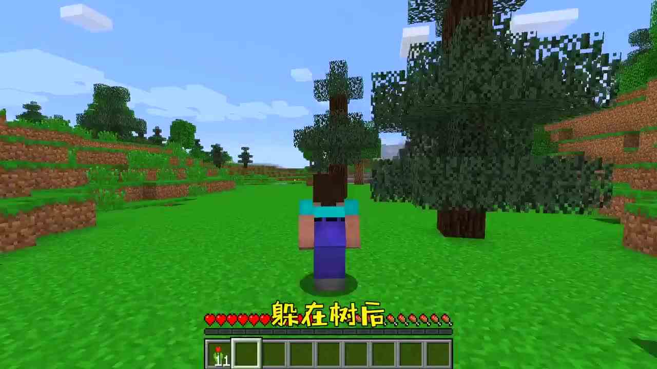 我的世界：MC中每天上一当，当当不一样！