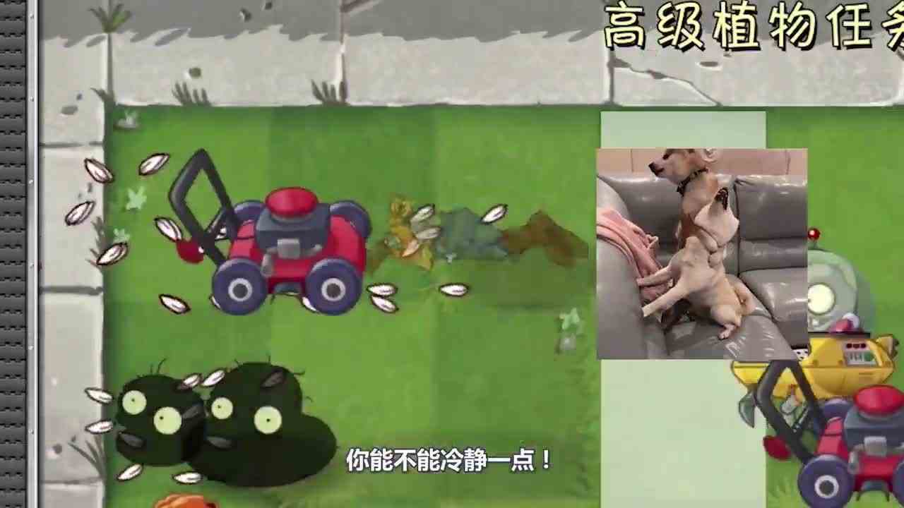 植物大战僵尸：小推车居然推不死僵尸鸡？戴夫：漏网之鸡！