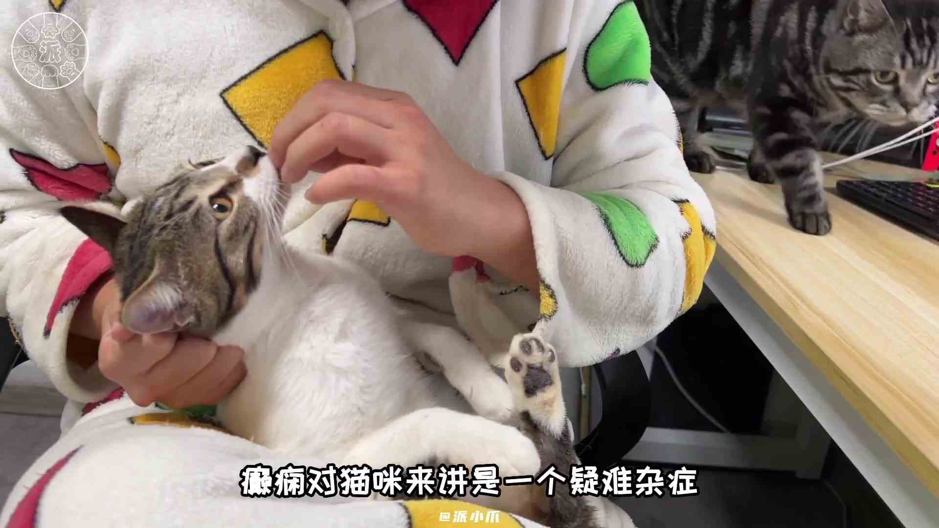 因为上一个不知道被谁举报限流了.干脆就重新发一遍