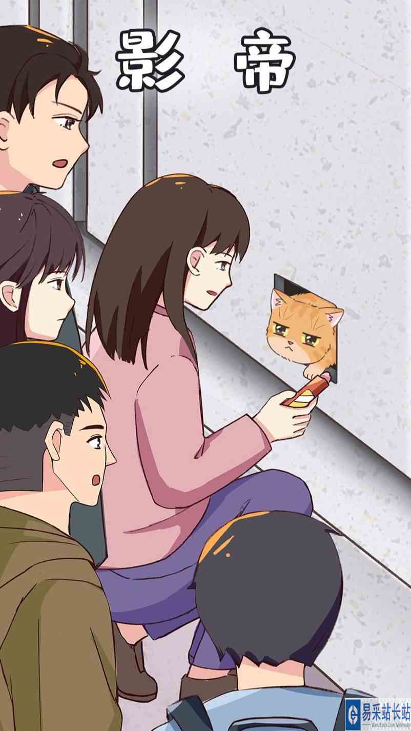 奥斯卡影帝？服了橘猫这个老六！橘猪 流浪猫日常
