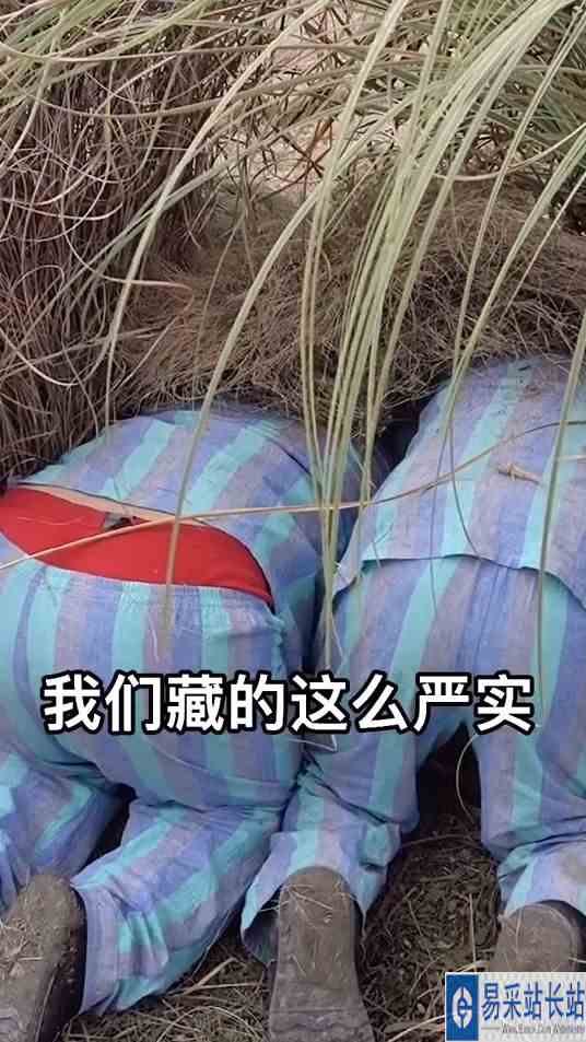 躲猫猫玩到这种境界也是没谁了，哈哈~