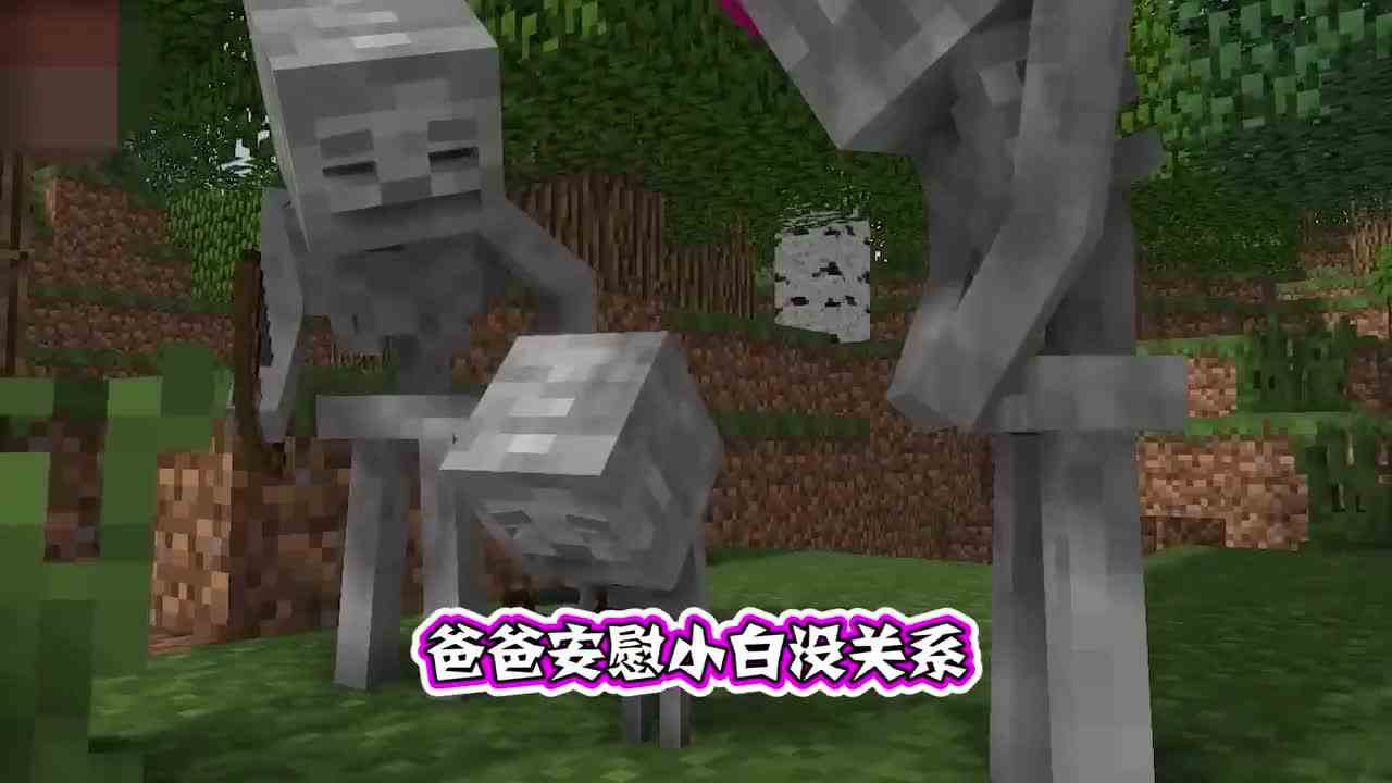 我的世界：宝石被凋零骷髅抢走，小白父亲为了夺回被S害！