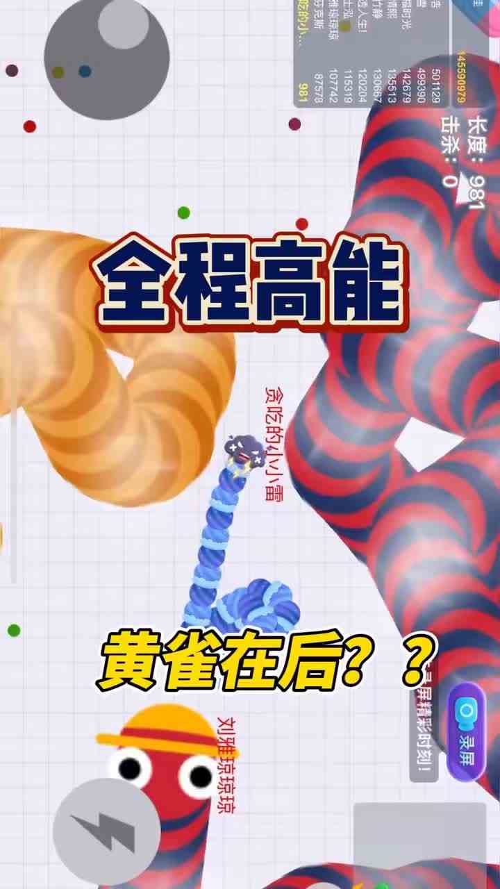 全程高能，看完一声没叫我是真的服. #贪吃蛇大作战  #不服来战  #小游戏 