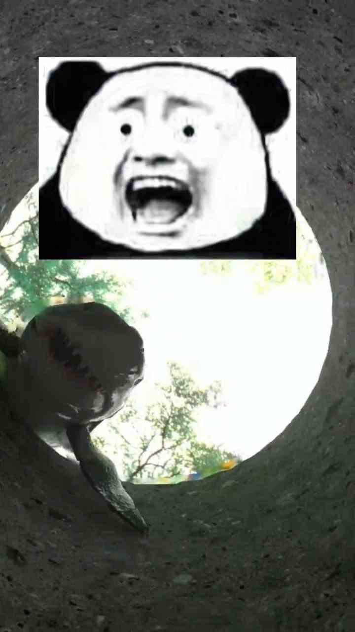 都是金币惹的祸