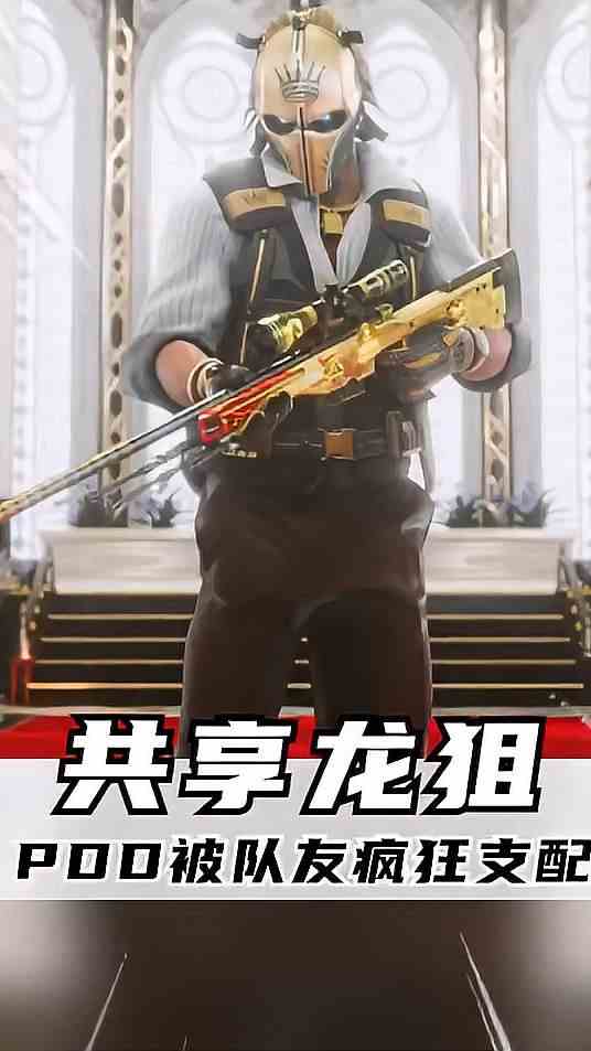 一把龙狙引发的惨案
