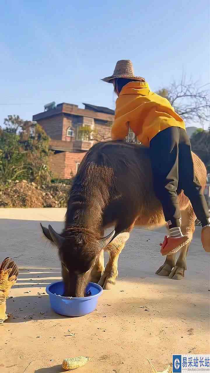 2022快结束了，这一年你还有遗憾吗？
