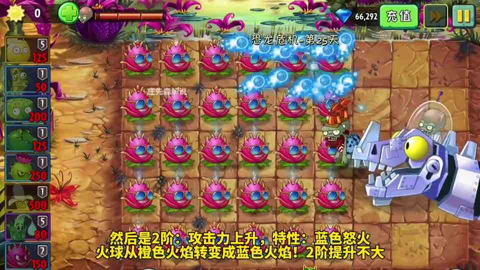 1\-5阶火龙果测评：1阶刮痧，5阶刮皮！