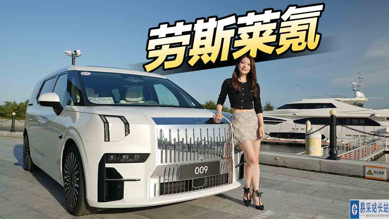 初晓敏：一键VIP通道 抢先试驾极氪009