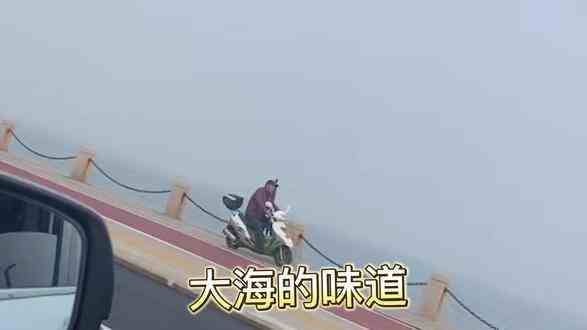 #vlog日常 十五天培训第一天
