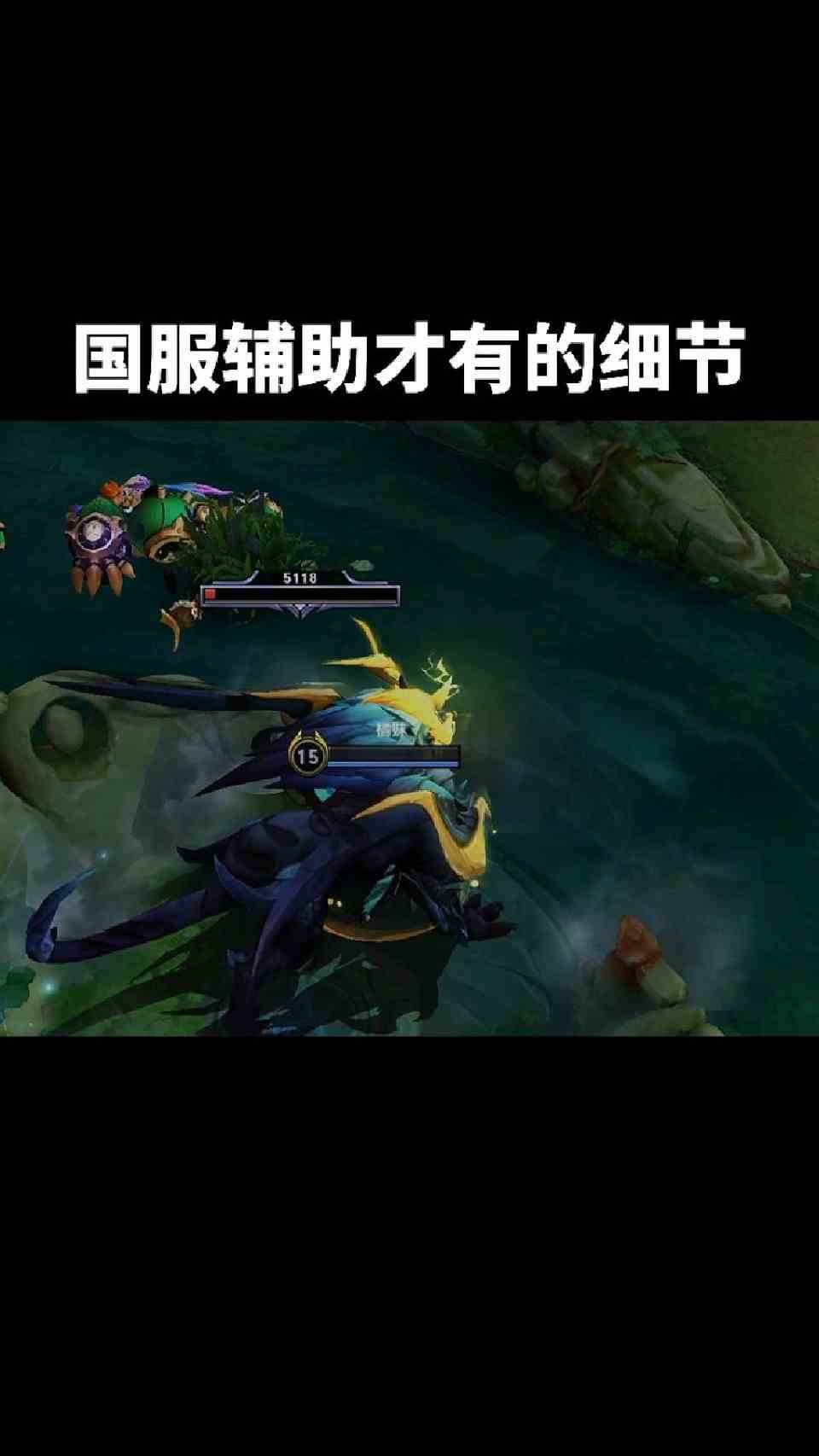 国服辅助才有的细节