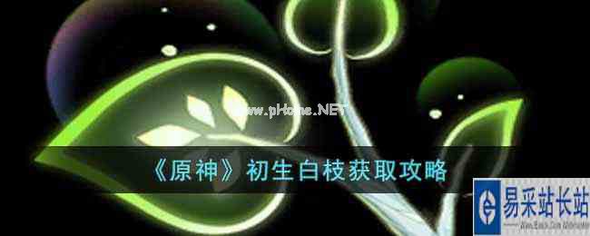 《原神》初生白枝获取攻略