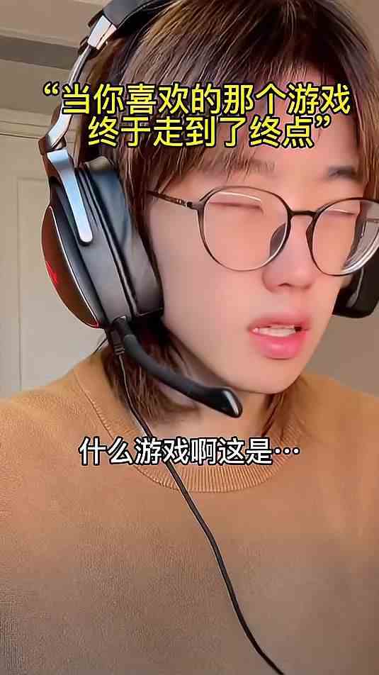 那个我很少玩但却从未卸载过的游戏，再见啦