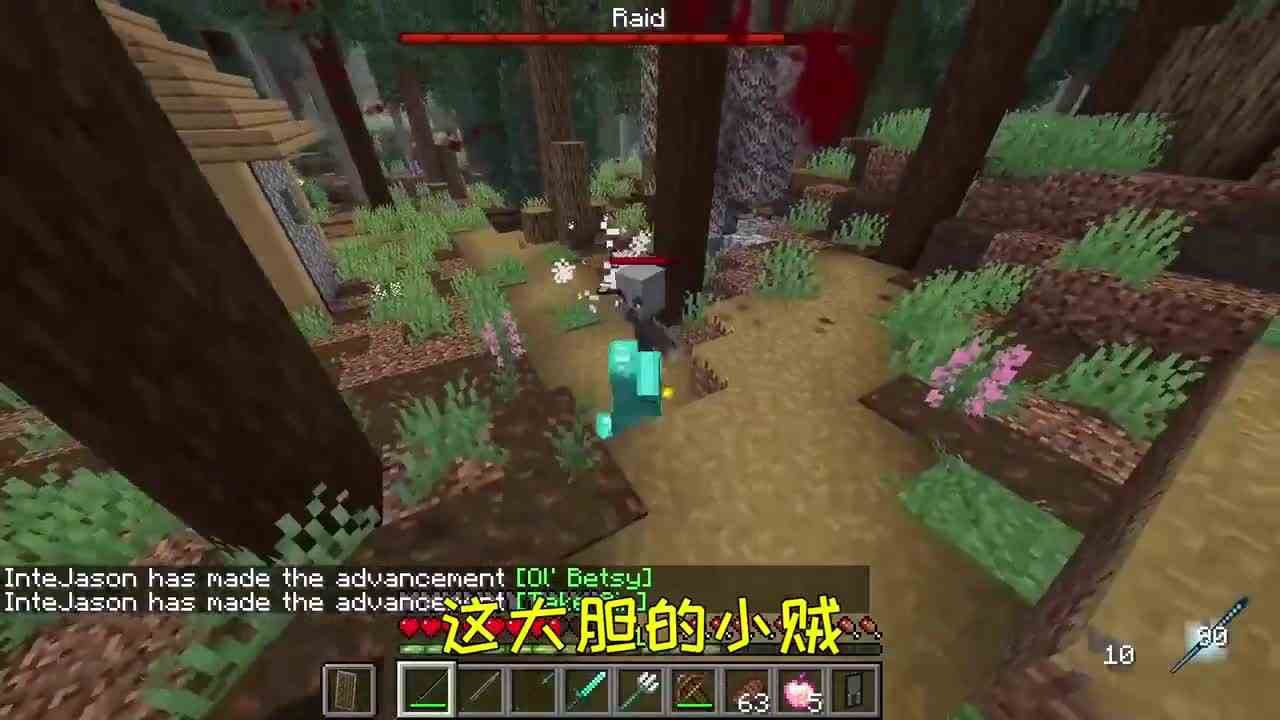 我的世界：偶遇遭到敌军入侵的村庄，大侠的行侠仗义之路会怎样？