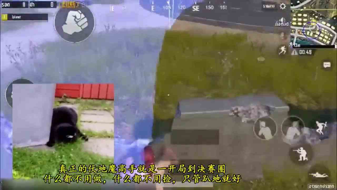 刺激战场：趴地半小时，全程不捡一件装备，这个鸡吃的我服！