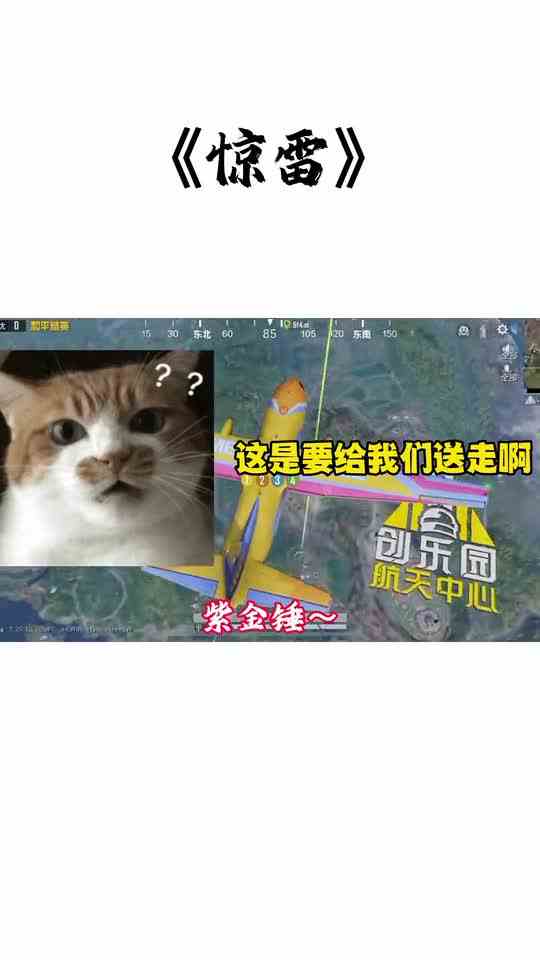 全部麦里的奇葩机长太搞笑了