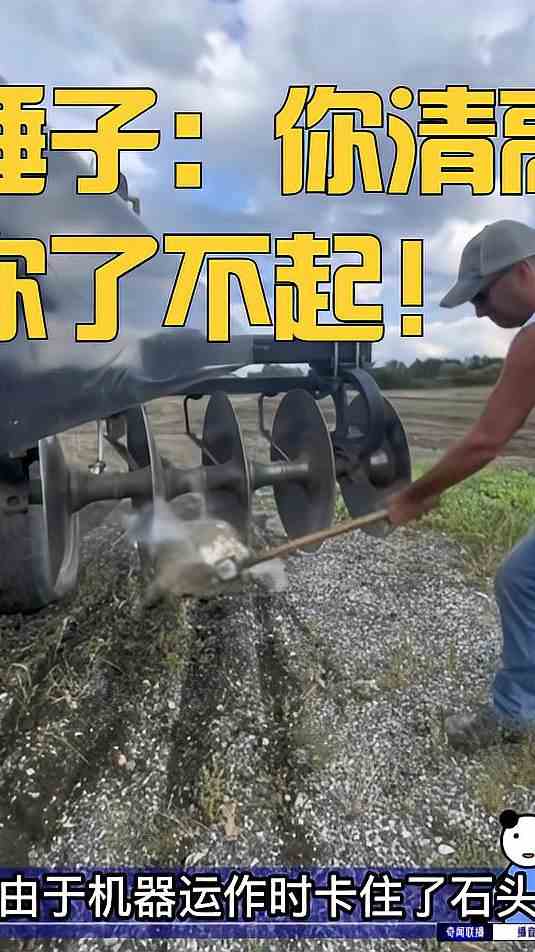 锤子：你清高，你了不起！