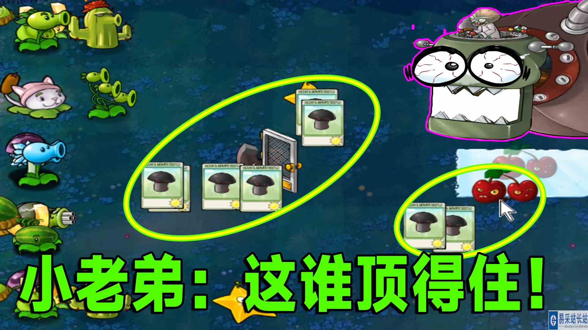 植物大战僵尸：满屏黑蘑菇加樱桃炸弹，小老弟直接懵圈了#植物大战僵尸