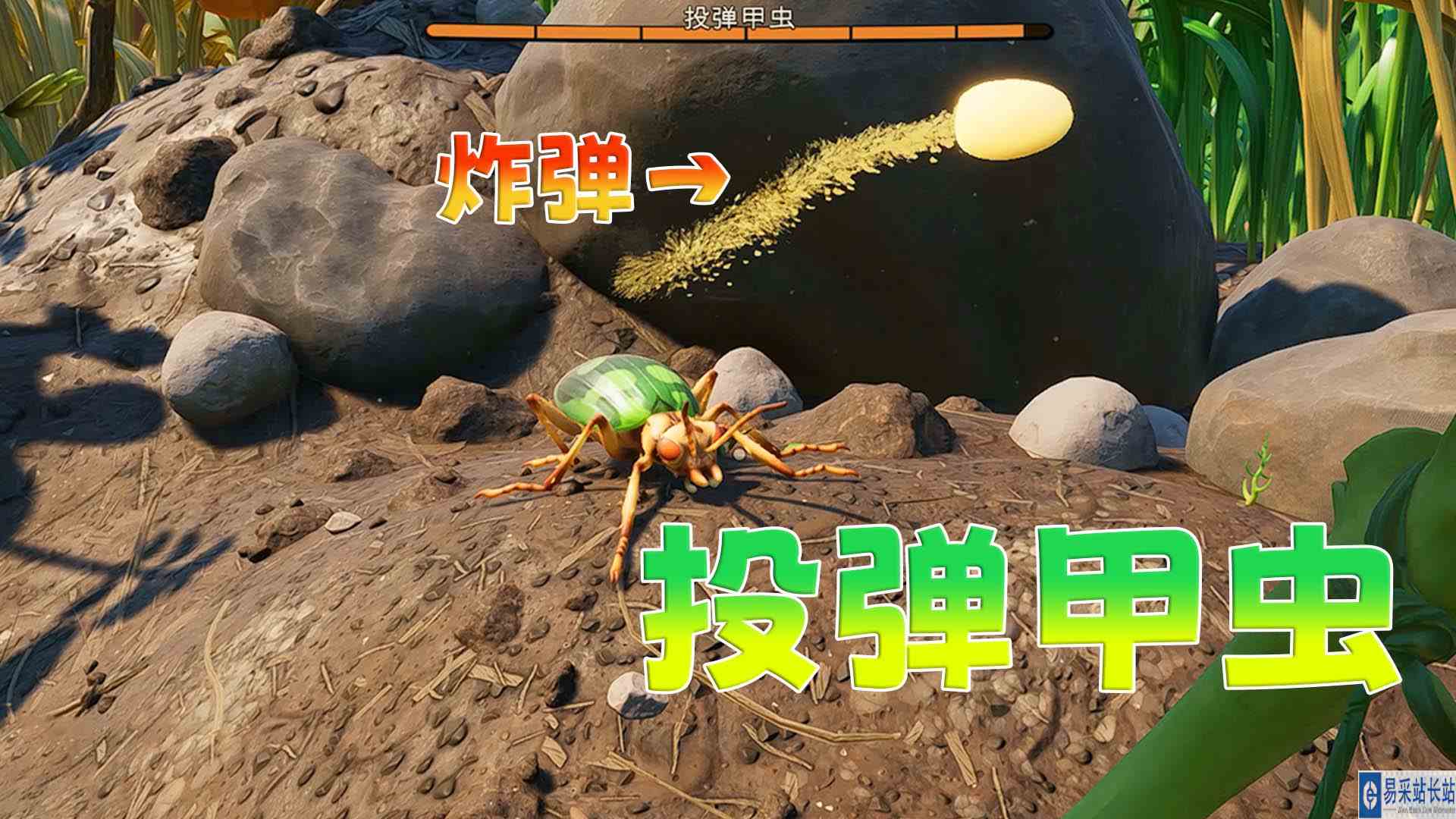 禁闭求生08：智取甲虫 设法击败屁股可以发射炮弹的投弹甲虫