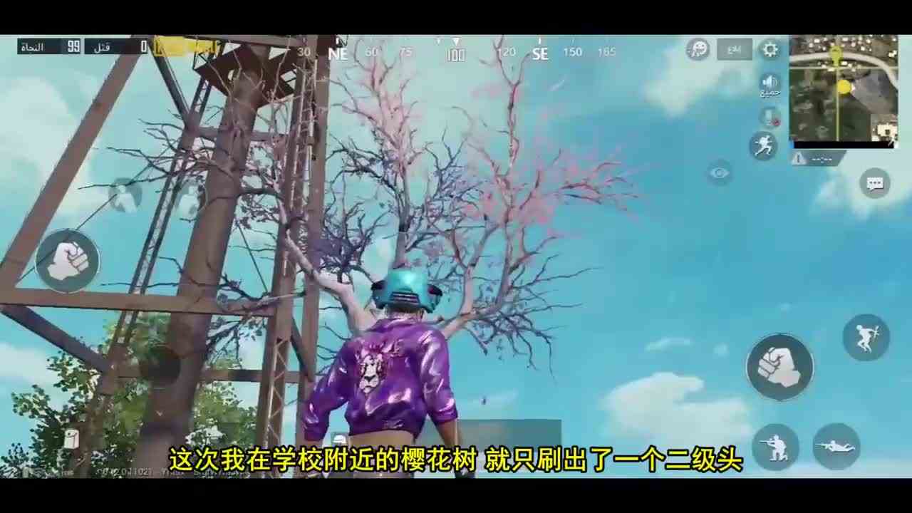 刺激战场：海岛地图樱花树位置，信号枪不再稀有，浇水就能刷出！