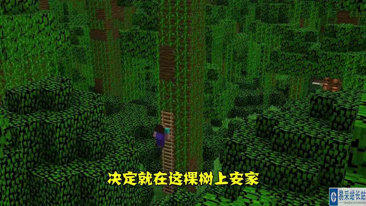我的世界：神秘森林吸引三人，上帝的树屋旅店会有人来参观吗？