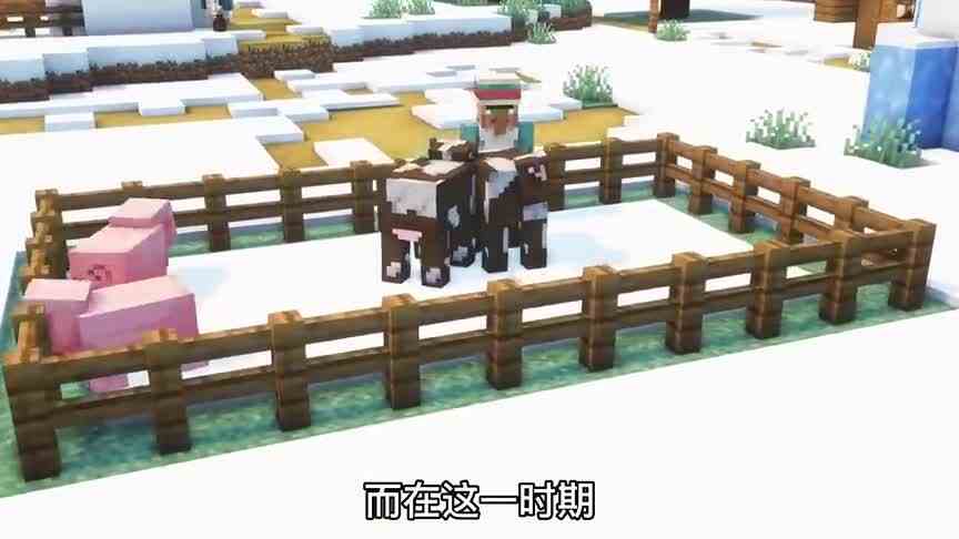 我的世界：mc村民进化史!