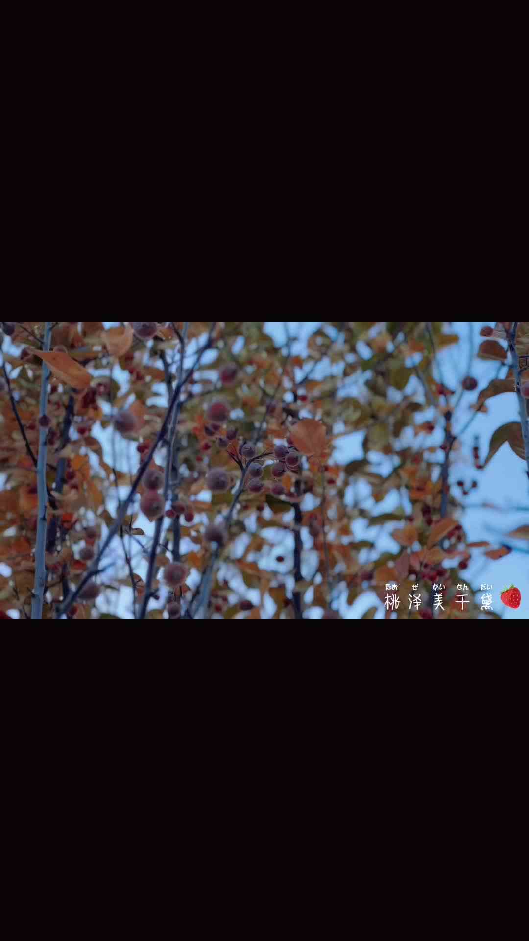 来了来了久违的vlog诶嘿 #日常生活记录  #我是Vlogger 