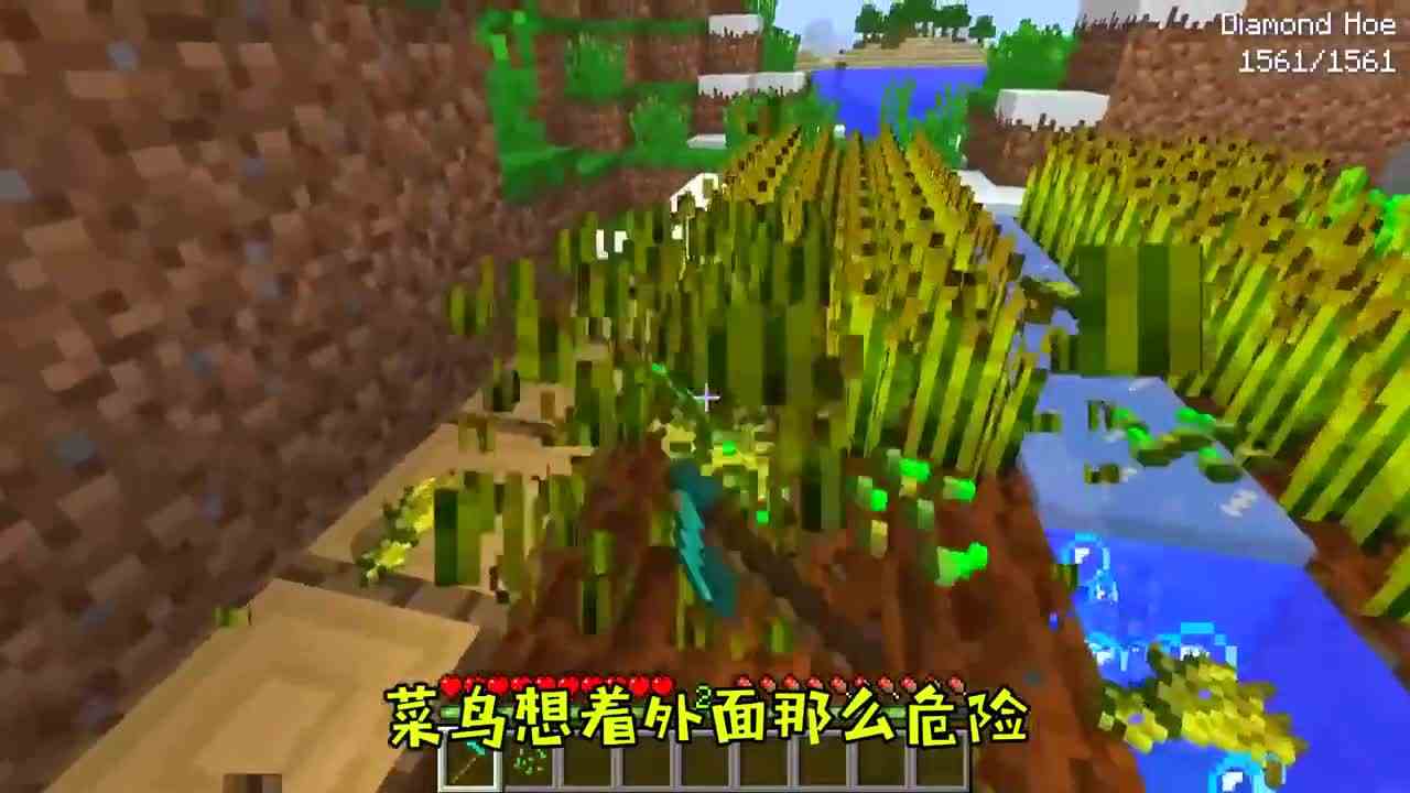 我的世界：菜鸟被好奇心驱使，将人头送给史蒂夫。