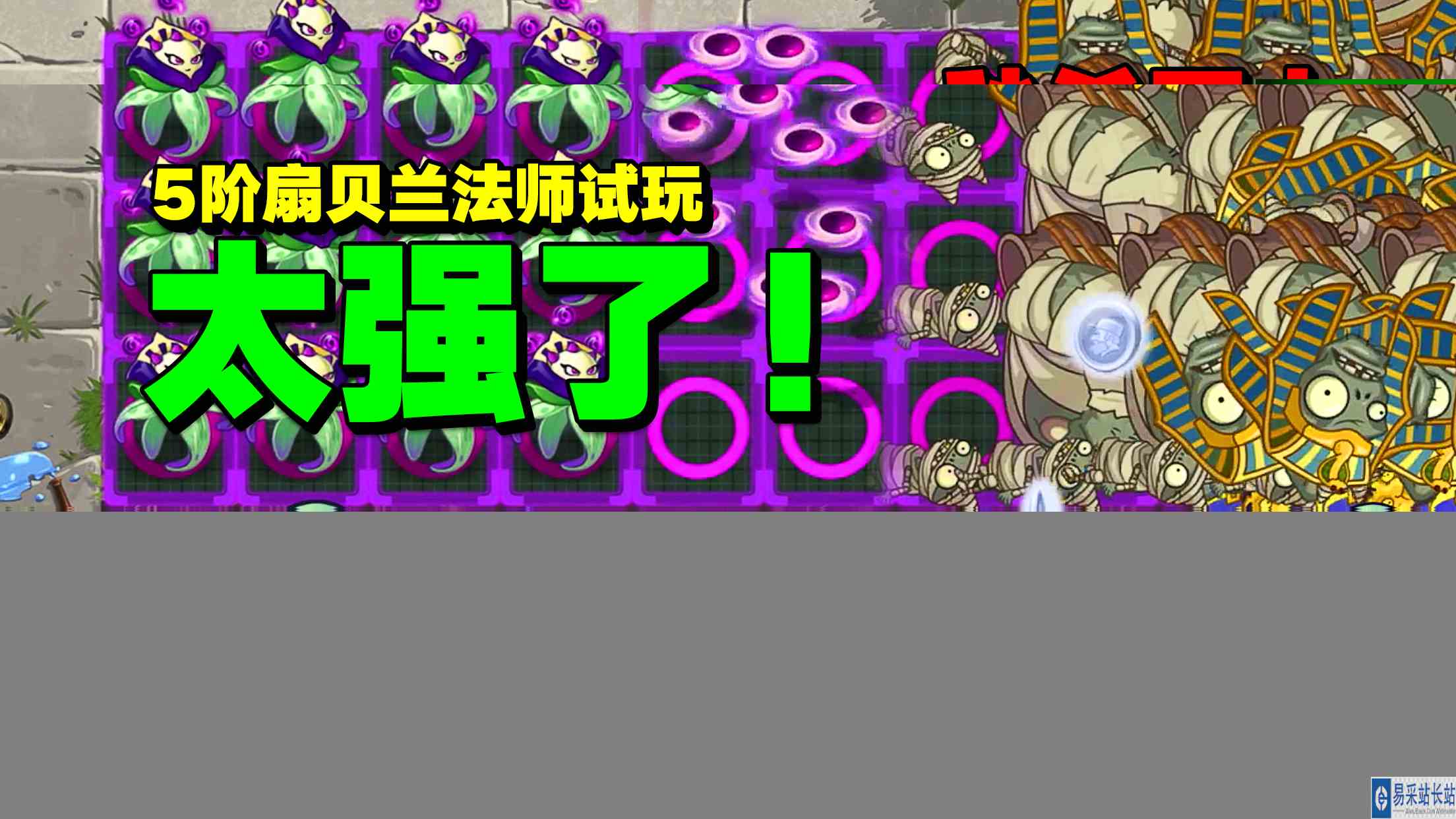 PVZ资讯：5阶扇贝兰试玩，氪金植物！速刷神器？