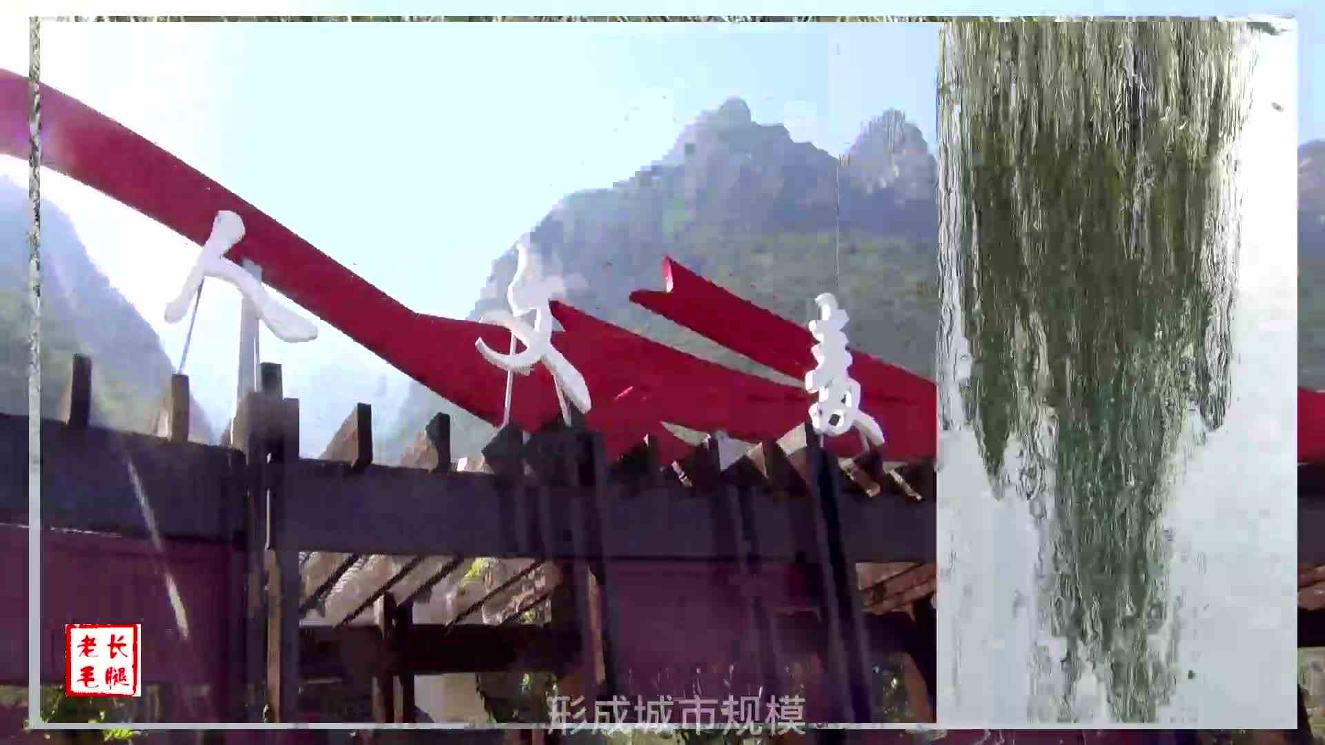 大树，一个装满故事的地方2022.11.6
