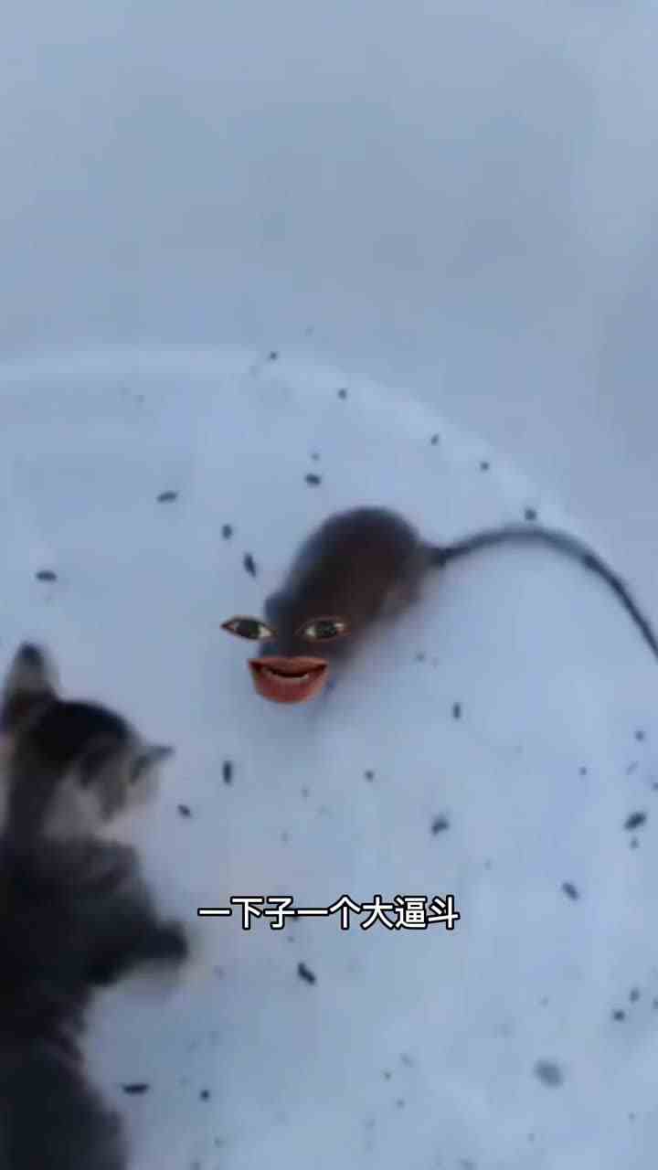  “被打的爆了一地的装备……”