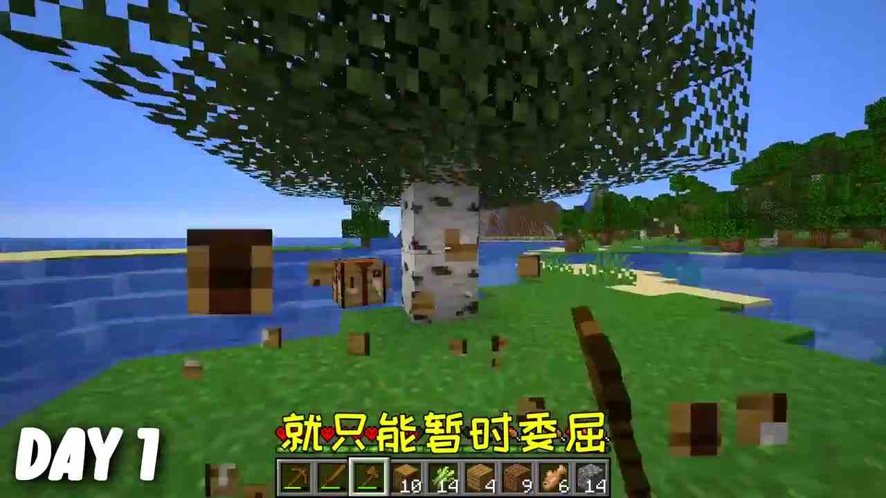 我的世界：挑战在野外生存100天，结果被僵尸比下去了？！