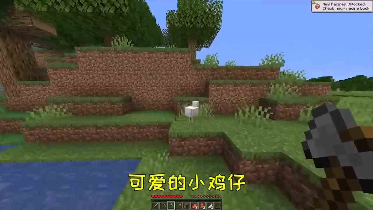 我的世界：大神dream的神操作，老奶奶我都不扶就服dream！