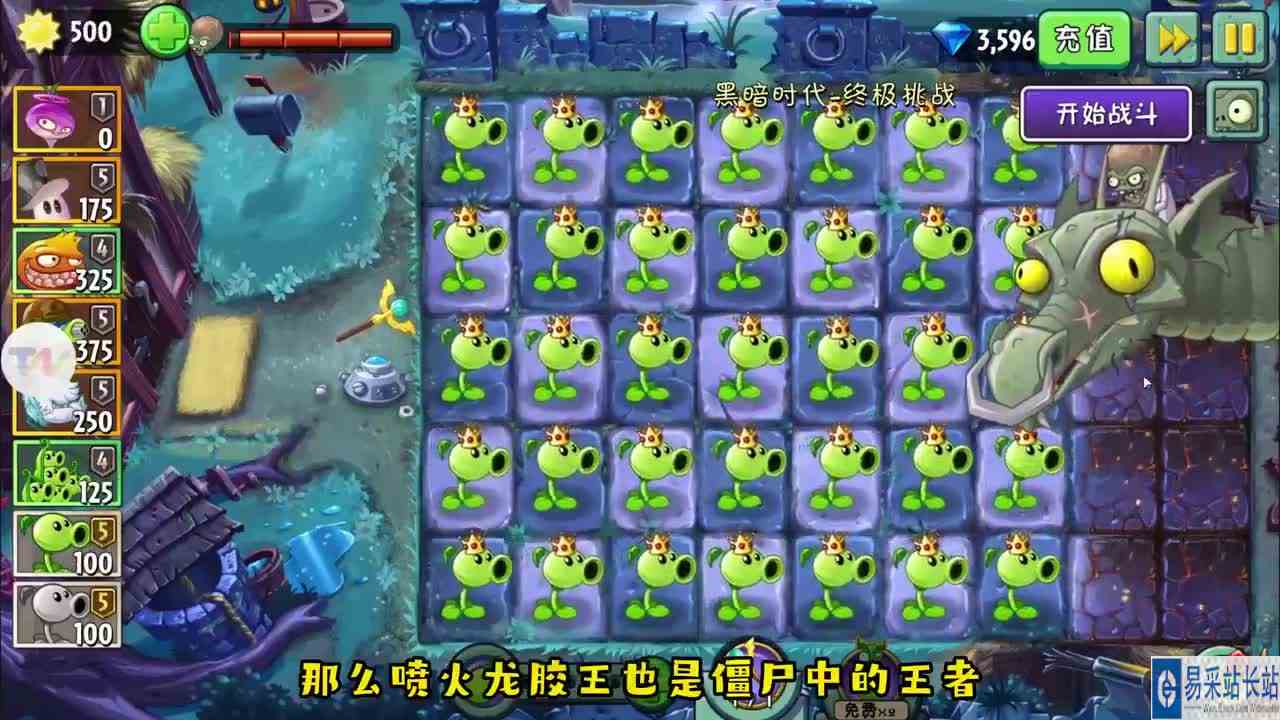 植物大战僵尸：豌豆国王VS喷火龙僵王，这是一场王者的战斗！