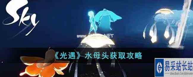 《光遇》水母头获取攻略