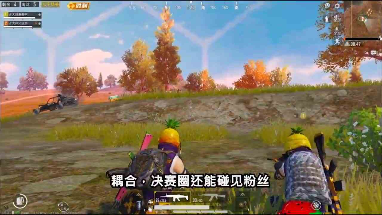 和平精英：决赛圈遇粉丝，决定让鸡黑粉丝白粉丝傻傻分不清楚